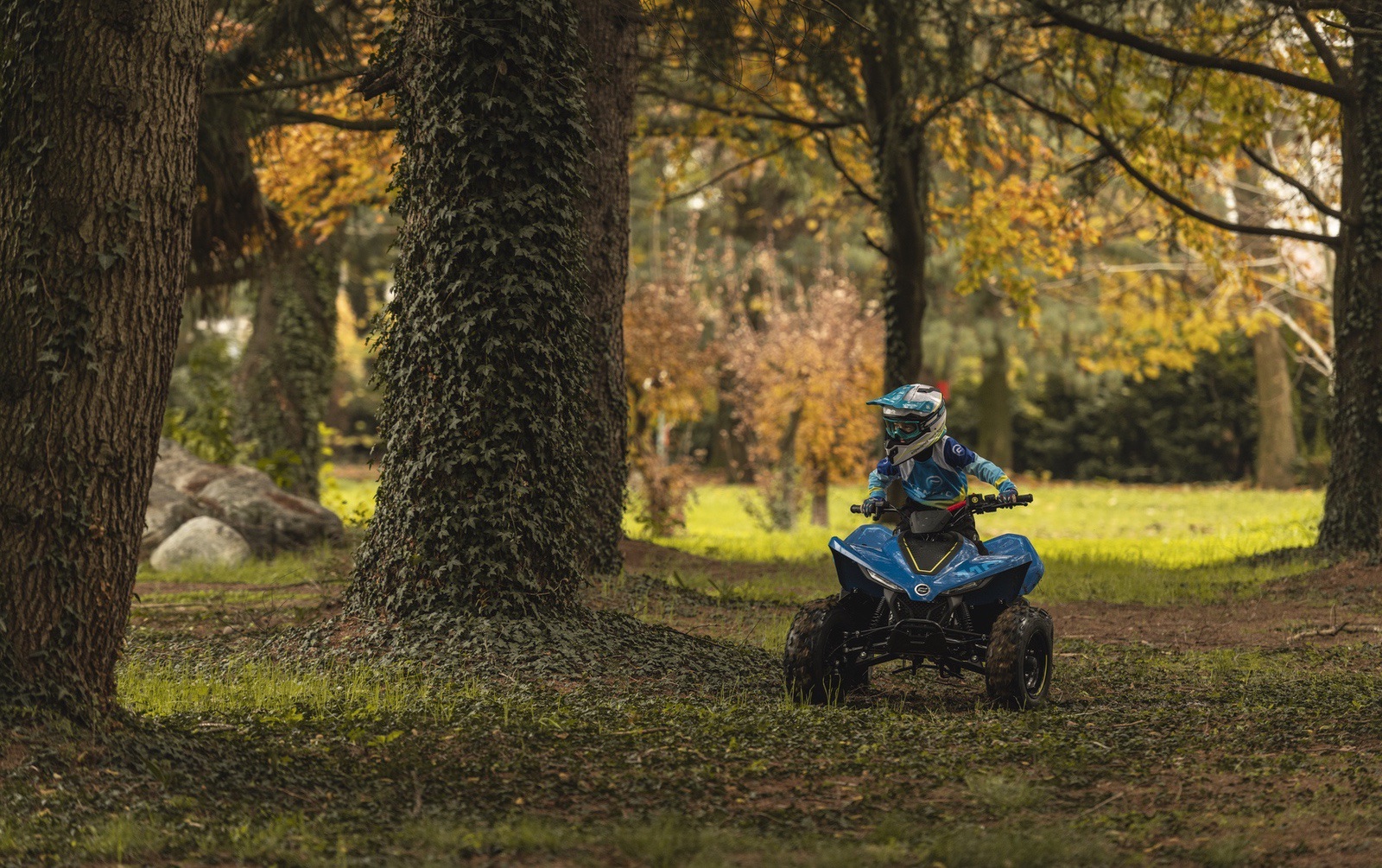 картинка CFMOTO CFORCE 110 EFI 