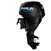 картинка MARLIN MFI 30 AERTL 